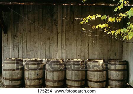 Old Wooden Barrels And Tree Limb View Large Photo Image Picture - Old Wooden Barrels And Tree Limb . Fotosearch