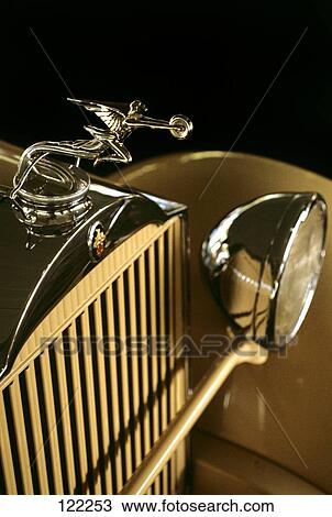 Packard Automobile Detail Of Front Grill And Hood Ornament View Large Photo Image Stock Image - Packard Automobile Detail Of Front Grill And Hood Ornament. Fotosearch