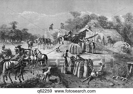 1870S 1878 Farm Harvest Scene Threshing Grain Illustration By O. D. Steinberger  View Large Photo Image Stock Photo - 1870S 1878 Farm Harvest Scene Threshing Grain Illustration By O. D. Steinberger . Fotosearch
