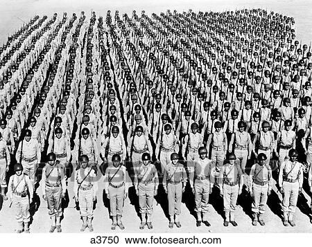 1940S Wwii Large Formation U. S. Army Infantry Soldiers At Attention Wearing Helmets Under Arms Rank And File View Large Photo Image Stock Image - 1940S Wwii Large Formation U. S. Army Infantry Soldiers At Attention Wearing Helmets Under Arms Rank And File . Fotosearch