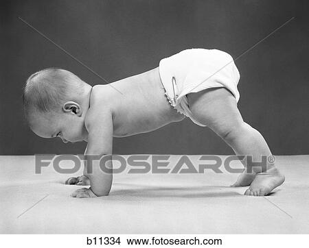1950S Baby Girl Push Up On All Fours Crawling On Tiptoes 7 Months View Large Photo Image Picture - 1950S Baby Girl Push Up On All Fours Crawling On Tiptoes 7 Months. Fotosearch