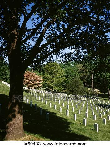1980S Grave Markers Arlington National Cemetery Washington Dc Usa View Large Photo Image Stock Image - 1980S Grave Markers Arlington National Cemetery Washington Dc Usa. Fotosearch
