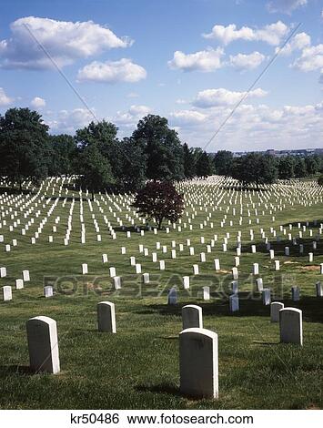 Stock Photograph - 1980S Grave Markers Arlington National Cemetery Washington Dc Usa. Fotosearch