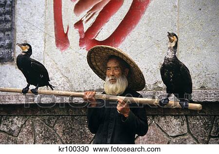 1990S Bearded Chinese Fisherman With Two Cormorants Balanced On Pole Yuangshou China View Large Photo Image Stock Image - 1990S Bearded Chinese Fisherman With Two Cormorants Balanced On Pole Yuangshou China . Fotosearch