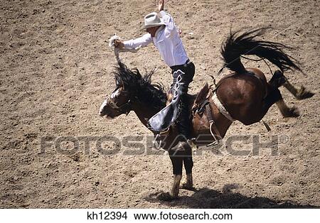 1990S Cowboy Riding Saddle Bronco Frontier Days Cheyenne Wy Usa View Large Photo Image Picture - 1990S Cowboy Riding Saddle Bronco Frontier Days Cheyenne Wy Usa. Fotosearch