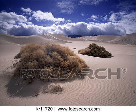 Stock Image - 1990S Eureka Valley Dunes Death Valley National Park California Usa. Fotosearch
