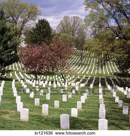 Stock Photograph - 2000S Rows Of Gravestones In Spring Arlington National Cemetery Arlington Va Usa. Fotosearch