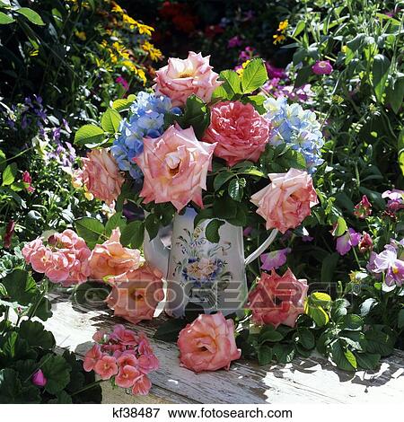 Bouquet Of Pink Roses And Blue Hydrangeas In Vase On Garden Bench View Large Photo Image Stock Photo - Bouquet Of Pink Roses And Blue Hydrangeas In Vase On Garden Bench. Fotosearch