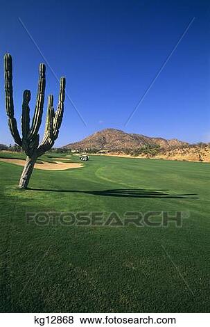 Stock Photo - Cabo Real Golf Course Los Cabos, Mexico. Fotosearch