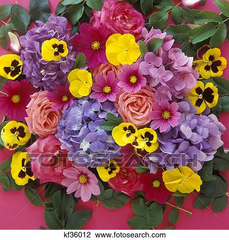 Collage With Pansies Roses And Hydrangeas View Large Photo Image Stock Image - Collage With Pansies Roses And Hydrangeas. Fotosearch