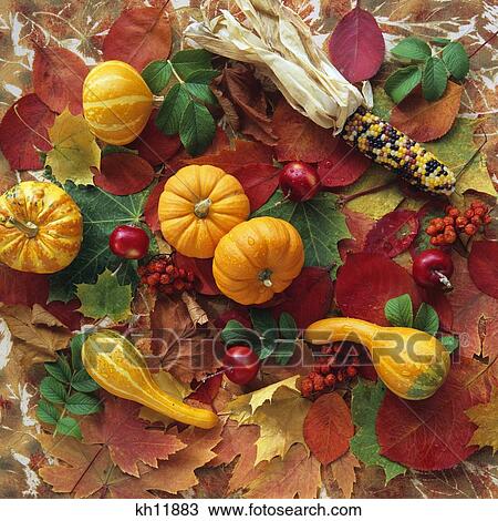 Stock Image - Harvest Still Life With Leaves, Fruit And Vegetables. Fotosearch