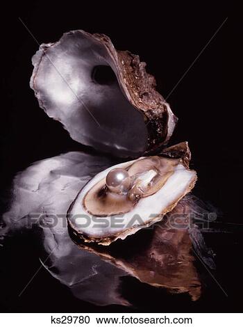 Pearl In Oyster View Large Photo Image Stock Image - Pearl In Oyster. Fotosearch