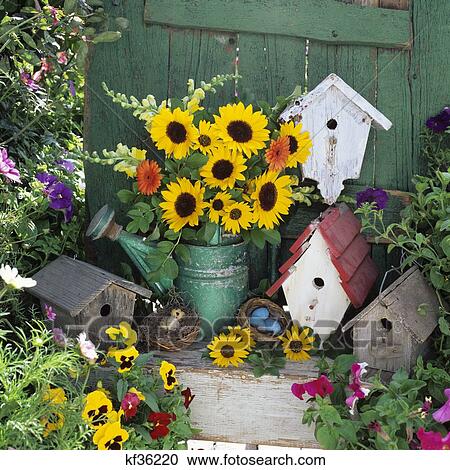 Still Life With Flower Arrangement In Watering Can With Bird Houses And Nests In Garden Setting View Large Photo Image Stock Image - Still Life With Flower Arrangement In Watering Can With Bird Houses And Nests In Garden Setting. Fotosearch