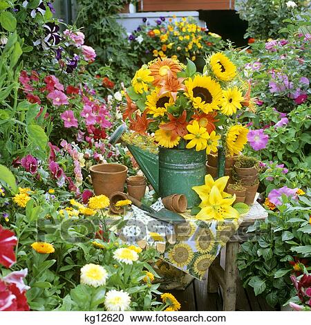 1990S Flowers In Watering Can Flower Pots And Trowel On Table In Garden View Large Photo Image Stock Image - 1990S Flowers In Watering Can Flower Pots And Trowel On Table In Garden. Fotosearch