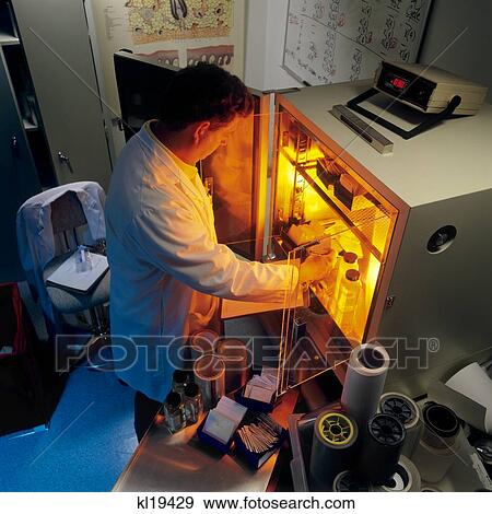 1990S Lab Technician View Large Photo Image Stock Photo - 1990S Lab Technician . Fotosearch