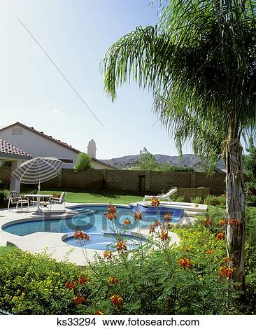 1990S Pool In Backyard Phoenix Arizona Usa View Large Photo Image Picture - 1990S Pool In Backyard Phoenix Arizona Usa. Fotosearch