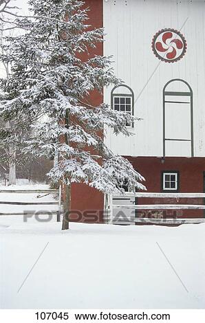 Barn In Winter Snow With Pine Tree And Red Hex Sign View Large Photo Image Stock Photography - Barn In Winter Snow With Pine Tree And Red Hex Sign. Fotosearch