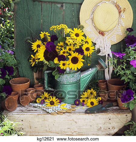 Bouquet Yellow Flowers In Green Watering Can Hat And Gardening Tools On Wooden Bench View Large Photo Image Stock Image - Bouquet Yellow Flowers In Green Watering Can Hat And Gardening Tools On Wooden Bench. Fotosearch