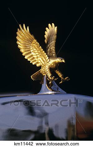 Close-Up Detail Of Golden Attacking Eagle Replica Radiator Cap Hood Ornament View Large Photo Image Stock Image - Close-Up Detail Of Golden Attacking Eagle Replica Radiator Cap Hood Ornament . Fotosearch