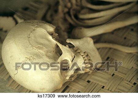 Human Skull Lying On Its Side On Straw Mat Along With Other Human Bones View Large Photo Image Stock Photo - Human Skull Lying On Its Side On Straw Mat Along With Other Human Bones . Fotosearch