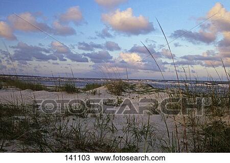 Sand Dunes And Ocean St. Simons Georgia Usa View Large Photo Image Stock Image - Sand Dunes And Ocean St. Simons Georgia Usa. Fotosearch