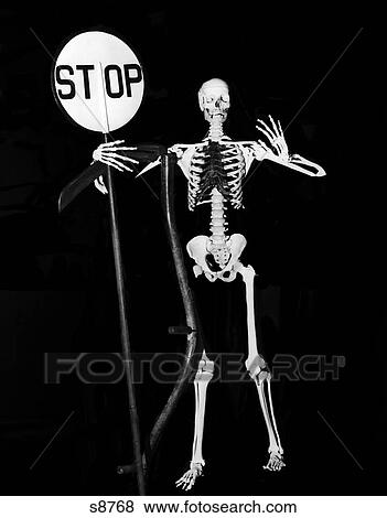 1930S Full Figure Skeleton In Black Robe Holding Up Stop Sign View Large Photo Image Stock Photo - 1930S Full Figure Skeleton In Black Robe Holding Up Stop Sign. Fotosearch