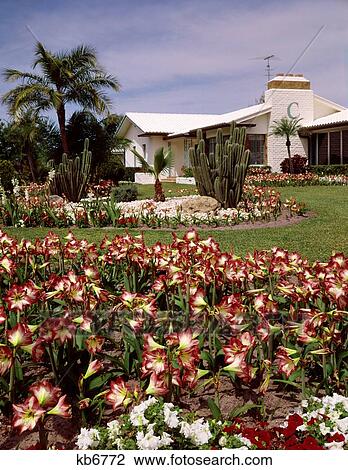 1960S Tropical Style Ranch House With Elaborate Landscaping And Initial On Chimney View Large Photo Image Stock Image - 1960S Tropical Style Ranch House With Elaborate Landscaping And Initial On Chimney. Fotosearch