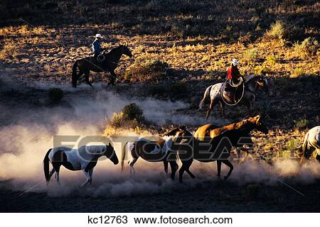 Stock Image - Cowboys Two Men On Horse Drive Rock Springs Ranch Bend, Or. Fotosearch