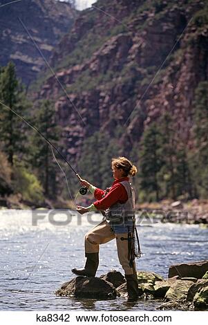 Woman Fly-Fishing Trout On Green River Dutch John Utah Usa View Large Photo Image Stock Image - Woman Fly-Fishing Trout On Green River Dutch John Utah Usa. Fotosearch