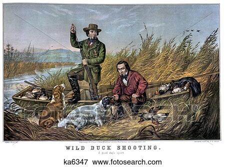 1850S Wild Duck Shooting - Two Hunters In A Punt Boat With Dogs - currier & ives ™ ™ Lithograph - 1854 View Large Photo Image Stock Photo - 1850S Wild Duck Shooting - Two Hunters In A Punt Boat With Dogs - currier & ives ™ ™ Lithograph - 1854. Fotosearch
