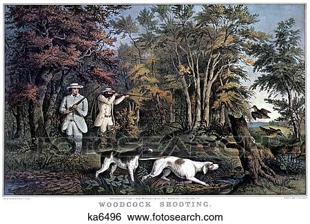 1850S Woodcock Shooting - currier & ives ™ ™ Lithograph - 1852 View Large Photo Image Stock Photograph - 1850S Woodcock Shooting - currier & ives ™ ™ Lithograph - 1852. Fotosearch
