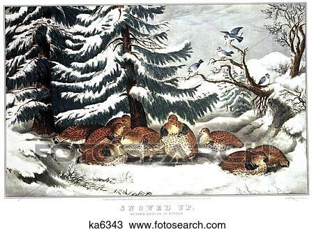 1860S Snowed Up - Ruffed Grouse In Winter - currier & ives ™ ™ Lithograph - 1867 View Large Photo Image Stock Image - 1860S Snowed Up - Ruffed Grouse In Winter - currier & ives ™ ™ Lithograph - 1867. Fotosearch