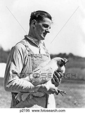 1920S Man Poultry Farmer Holding Rooster In His Arms View Large Photo Image Stock Photography - 1920S Man Poultry Farmer Holding Rooster In His Arms . Fotosearch