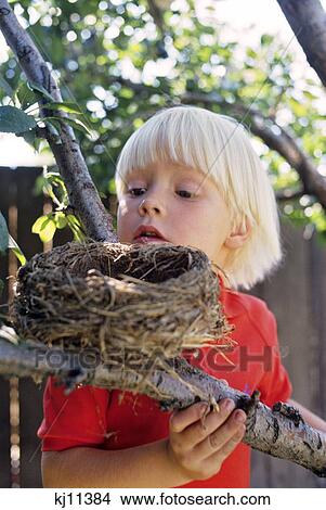Picture - Child Looking Into Bird'S Nest. Fotosearch