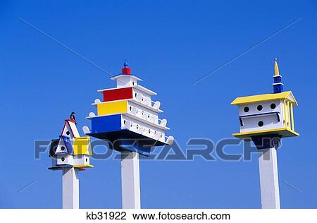 Colorful Painted Martin Birdhouse Kill Devil Hills, Nc View Large Photo Image Stock Image - Colorful Painted Martin Birdhouse Kill Devil Hills, Nc. Fotosearch