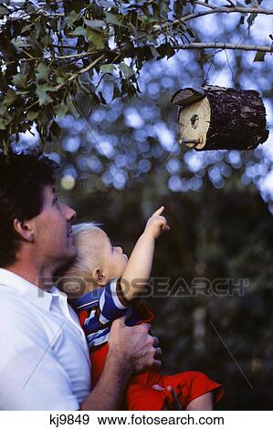 Father Holding Toddler Up To See Birdhouse View Large Photo Image Stock Photo - Father Holding Toddler Up To See Birdhouse. Fotosearch