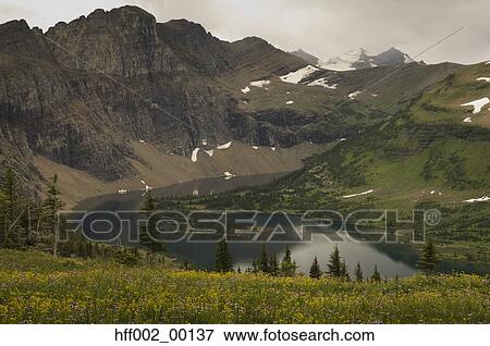 Hidden Lake At Logan Pass Glacier National Park Montana View Large Photo Image Stock Photo - Hidden Lake At Logan Pass Glacier National Park Montana. Fotosearch