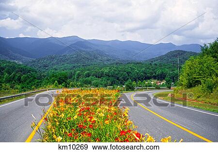 Highway Beautification North Carolina View Large Photo Image Stock Photo - Highway Beautification North Carolina. Fotosearch