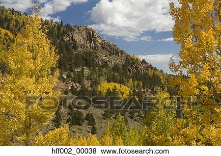 Mountains And Aspens In Autumn Near Cripple Creek View Large Photo Image Stock Photo - Mountains And Aspens In Autumn Near Cripple Creek. Fotosearch