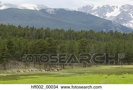 Scenic With Horseback Riders In Valley At Rocky Mountain National Park View Large Photo Image Picture - Scenic With Horseback Riders In Valley At Rocky Mountain National Park. Fotosearch