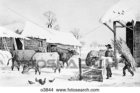 1800s ILLUSTRATION OF COLONIAL AMERICAN FARM IN WINTER FARMER AND BOY FEEDING CATTLE View Large Photo Image Picture - 1800s ILLUSTRATION OF COLONIAL AMERICAN FARM IN WINTER FARMER AND BOY FEEDING CATTLE. Fotosearch
