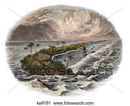 1800s TROPICAL CORAL REEF ENGRAVING BY WHIMPER View Large Photo Image Stock Image - 1800s TROPICAL CORAL REEF ENGRAVING BY WHIMPER. Fotosearch