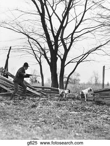 1920S Man Hunter With Shotgun & Two Hunting Dogs By Split Rail Fence View Large Photo Image Stock Photography - 1920S Man Hunter With Shotgun & Two Hunting Dogs By Split Rail Fence. Fotosearch