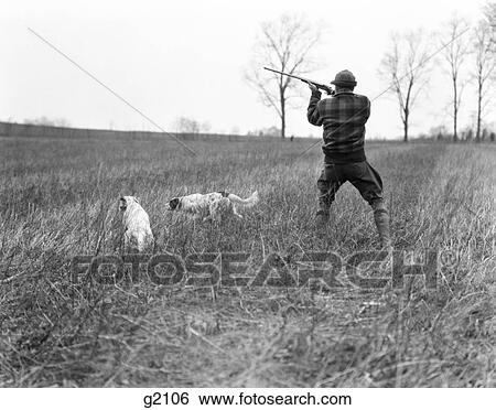 1920S Man Hunter With Shotgun Working Two Hunting Dogs On Point And Honor In Grassy Field View Large Photo Image Stock Photograph - 1920S Man Hunter With Shotgun Working Two Hunting Dogs On Point And Honor In Grassy Field . Fotosearch