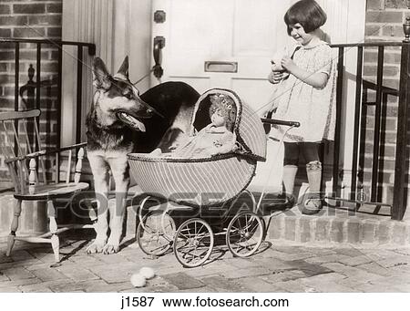 Stock Photo - 1920s SMILING LITTLE GIRL WATCHED BY GERMAN SHEPHERD DOG PLAYING WITH BABY DOLL IN TOY WICKER CARRIAGE OUTSIDE FRONT DOOR. Fotosearch