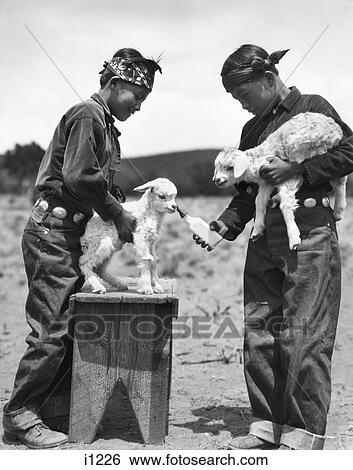 1920S Two Native American Indian Navajo Boys Feeding Lambs With Milk Bottle New Mexico Usa View Large Photo Image Stock Photograph - 1920S Two Native American Indian Navajo Boys Feeding Lambs With Milk Bottle New Mexico Usa. Fotosearch