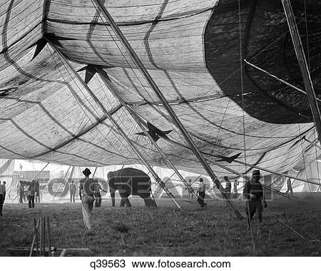 1930s ELEPHANT AND WORKERS ERECTING BIG TOP CIRCUS TENT View Large Photo Image Stock Image - 1930s ELEPHANT AND WORKERS ERECTING BIG TOP CIRCUS TENT. Fotosearch