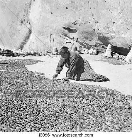 1930S Kneeling Native American Indian Navajo Woman Drying Peaches Canyon Del Muerto Arizona Usa View Large Photo Image Stock Photograph - 1930S Kneeling Native American Indian Navajo Woman Drying Peaches Canyon Del Muerto Arizona Usa. Fotosearch