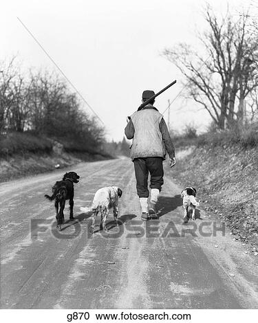 1930S Man Hunter Shotgun Over Shoulder Walking Down Country Lane With Three Hunting Dogs View Large Photo Image Stock Image - 1930S Man Hunter Shotgun Over Shoulder Walking Down Country Lane With Three Hunting Dogs . Fotosearch