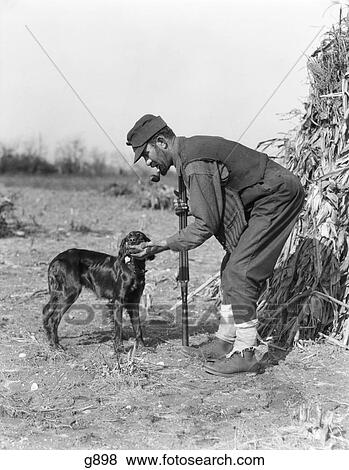 1930S Man Hunter With Shotgun In Corn Field Taking Bird From Irish Setter Dog View Large Photo Image Stock Photo - 1930S Man Hunter With Shotgun In Corn Field Taking Bird From Irish Setter Dog. Fotosearch